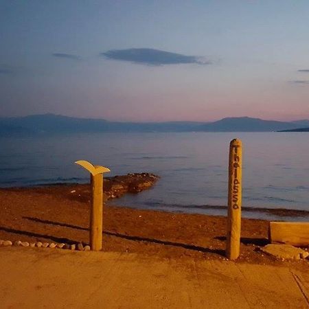 イリア'Αγριοι Λιμένεςアパートメント エクステリア 写真