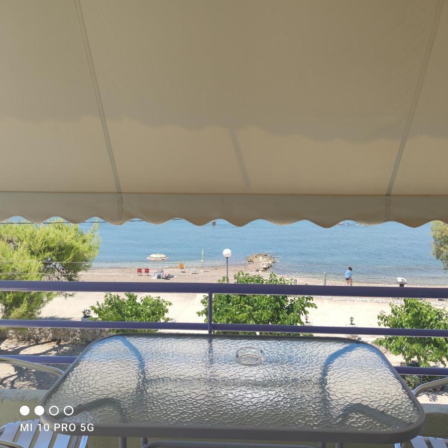 イリア'Αγριοι Λιμένεςアパートメント エクステリア 写真