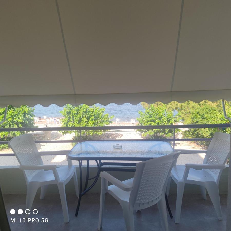 イリア'Αγριοι Λιμένεςアパートメント エクステリア 写真