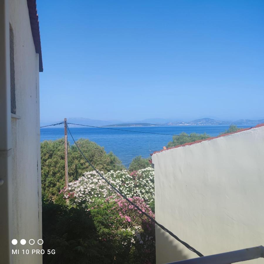 イリア'Αγριοι Λιμένεςアパートメント エクステリア 写真